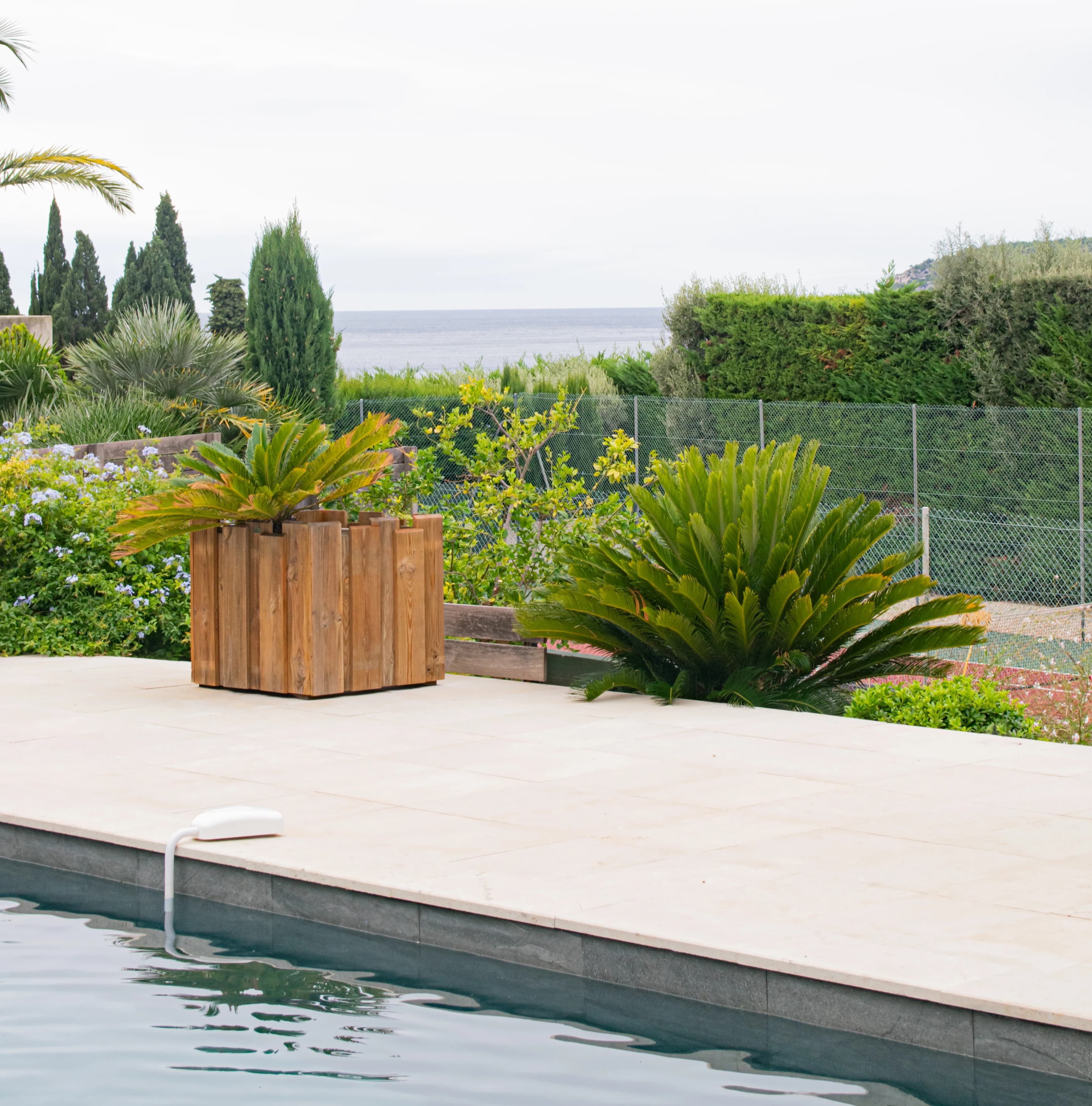 Piscine moderne avec plantes exotiques et vue sur la côte.