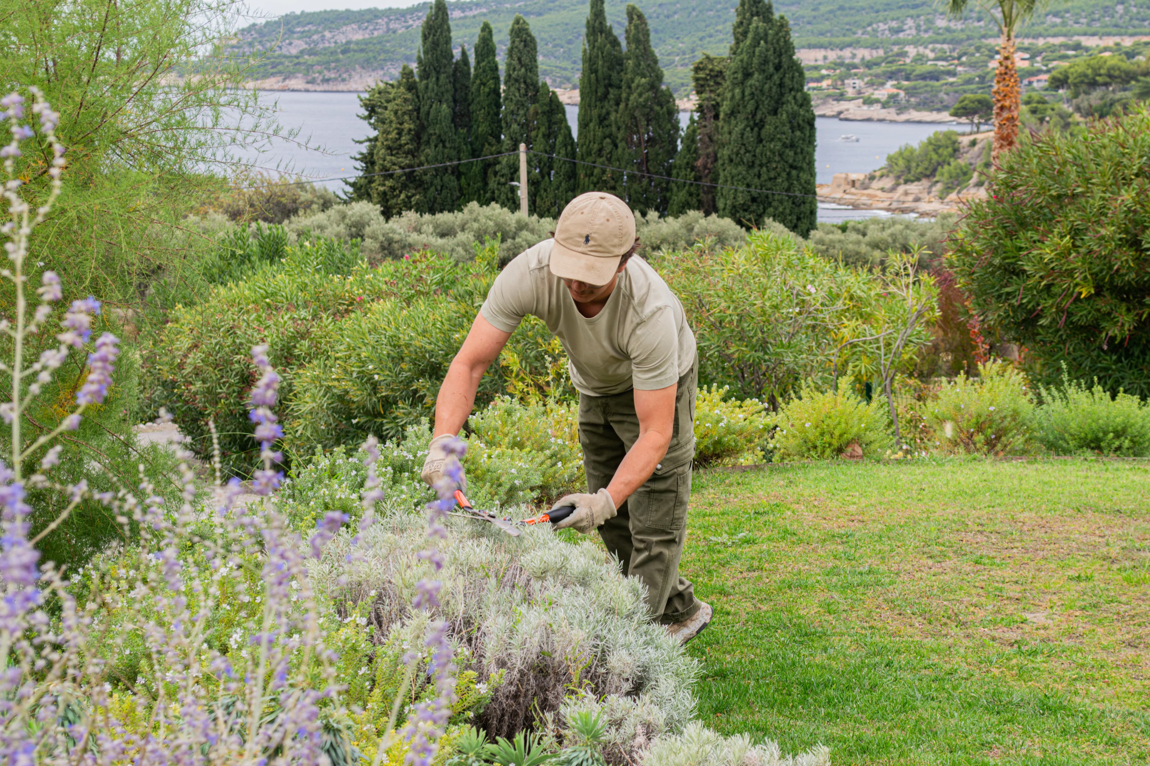 Jardinier travaillant dans un paysage méditerranéen avec vue sur la mer.